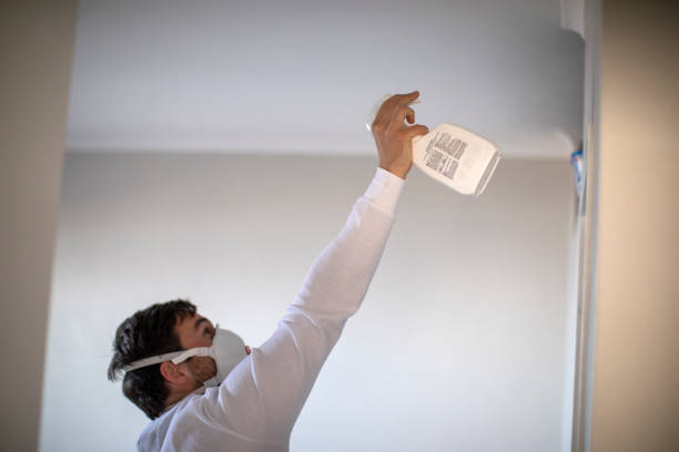 Best Water Damage Restoration  in Nevada, IA
