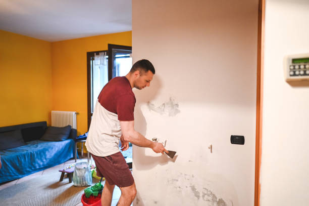 Best Attic Mold Removal  in Nevada, IA